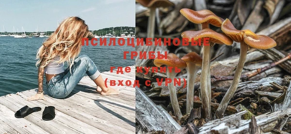 гидра Алексин