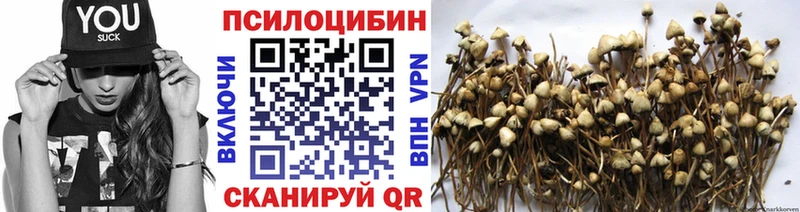 Псилоцибиновые грибы MAGIC MUSHROOMS  shop как зайти  Кострома 