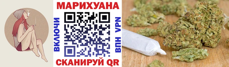 Конопля гибрид  Кострома 